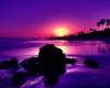 Закат на фоне моря и пальм