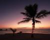 Закат на фоне пляжа с пальмами