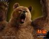 Tekken 5 and 6 Wallpapers