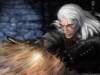the witcher