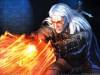 the witcher