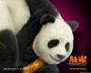 Tekken 5 and 6 Wallpapers